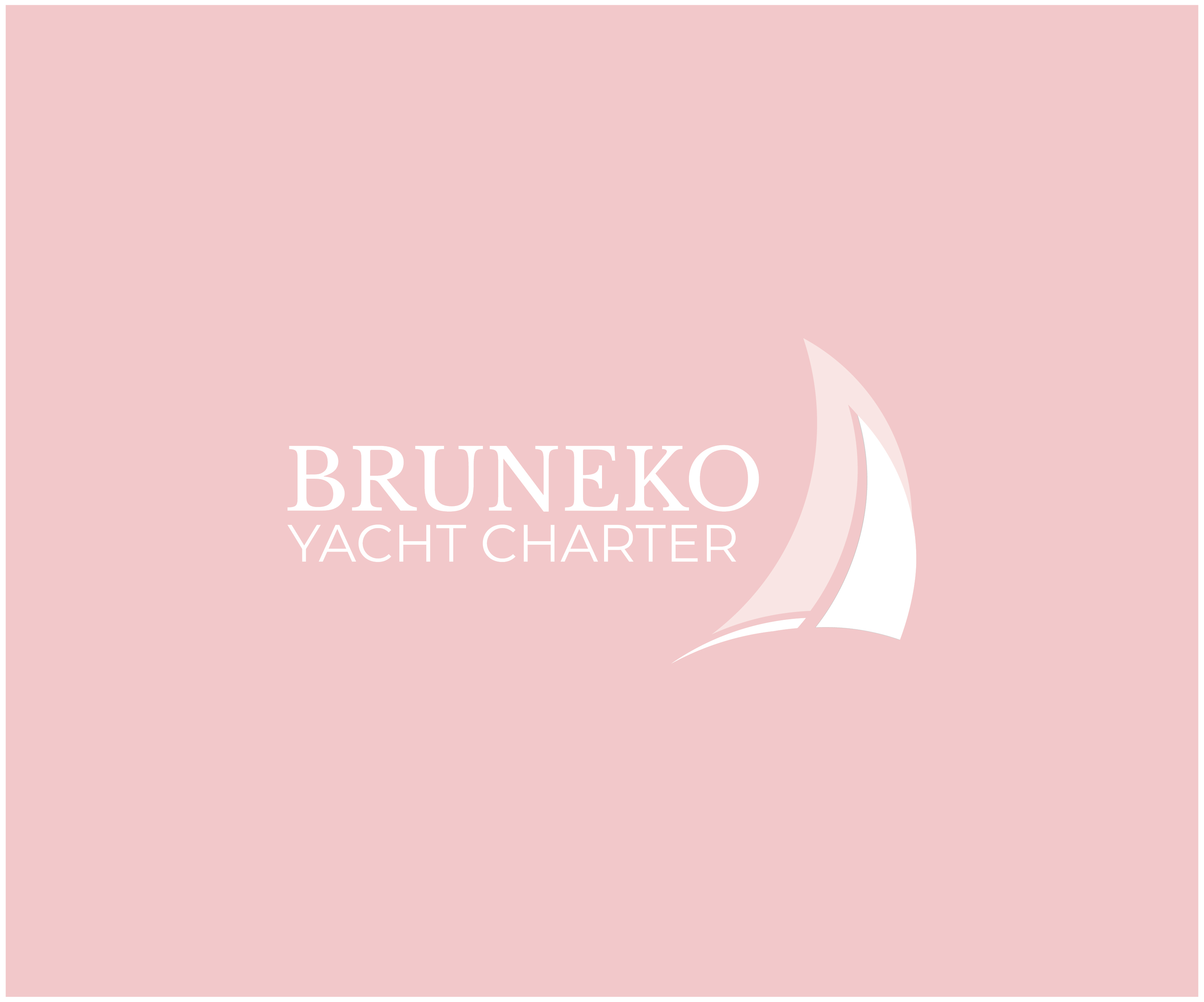 Bruneko Charter - The Exceptional Success of Luka Modrić and the Croatian National Football Team